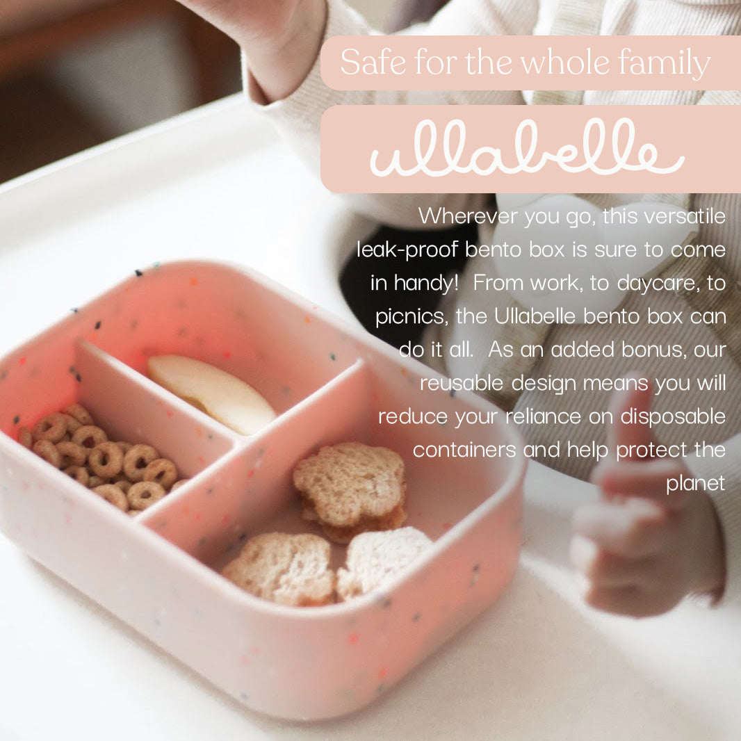 Bento Lunchbox (Coconut Confetti)