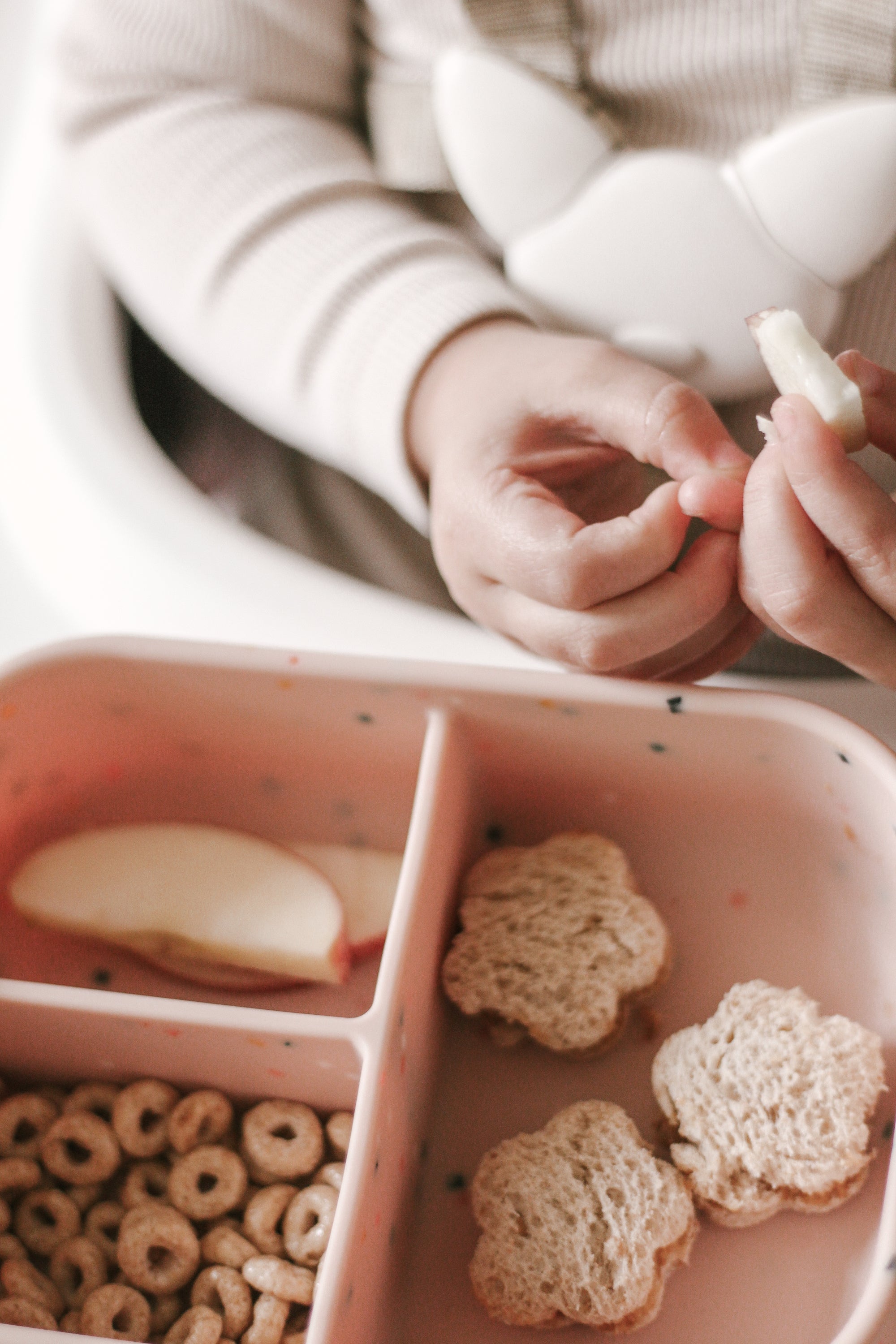 Bento Lunchbox (Coconut Confetti)