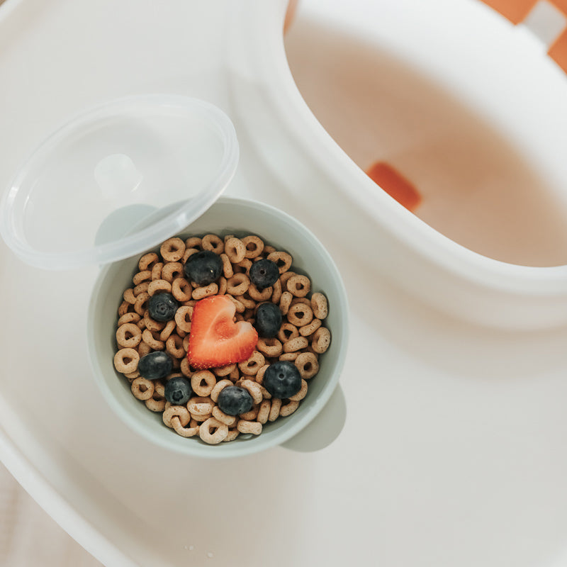 Baby Plate and Lidded Bowl Set (Sage)