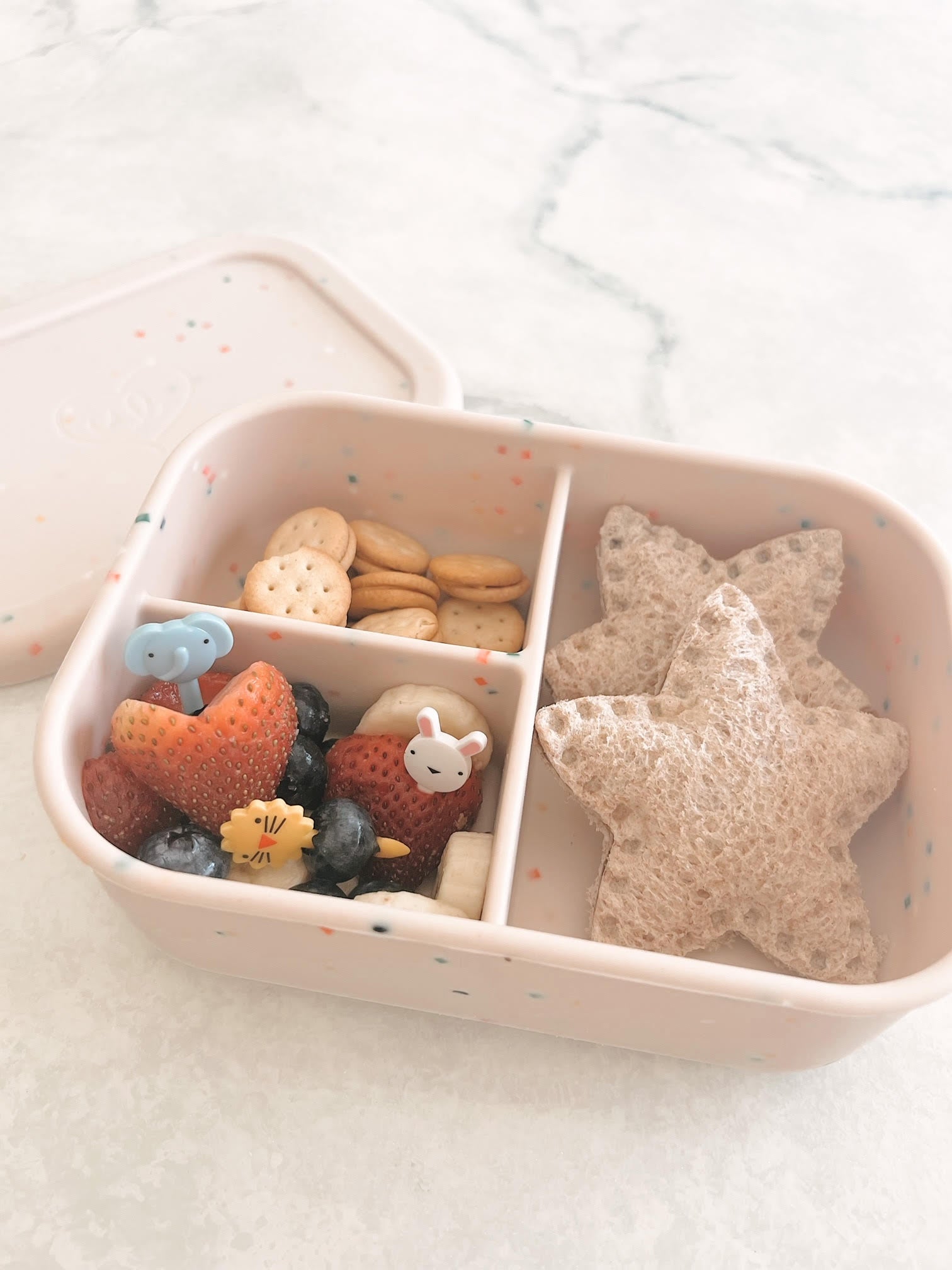 Bento Lunchbox (Coconut Confetti)